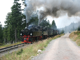 Harzer Schmalspurbahnen - mit Dampf durch die Berge
